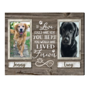 Pet Memorial Gifts, Sympathy Gifts For Pet Loss, Double Picture Frame – Best Personalized Gifts For Everyone