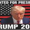 Trump Wanted Poster Mug Shot Trump Wanted For President