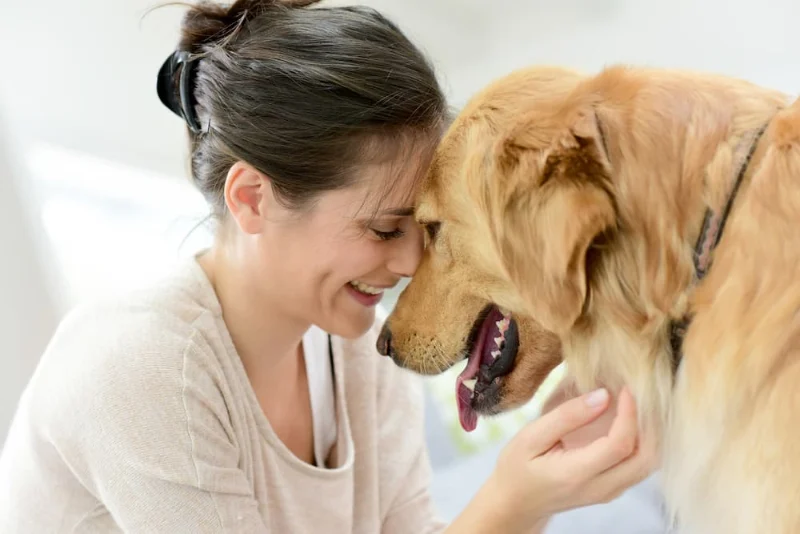 1 Year Death Anniversary Quotes For Dog 3 1 year death anniversary quotes for dog