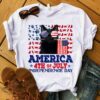 America 4th of July independence day – Black cat and America flag