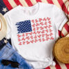 America flag and turtle – Turtle lover, the independence day