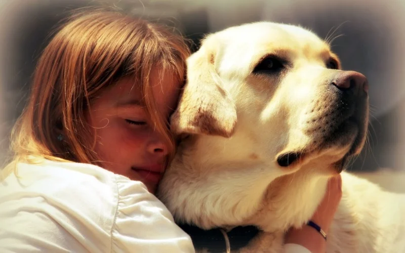 1 Year Death Anniversary Quotes For Dog 5 1 year death anniversary quotes for dog
