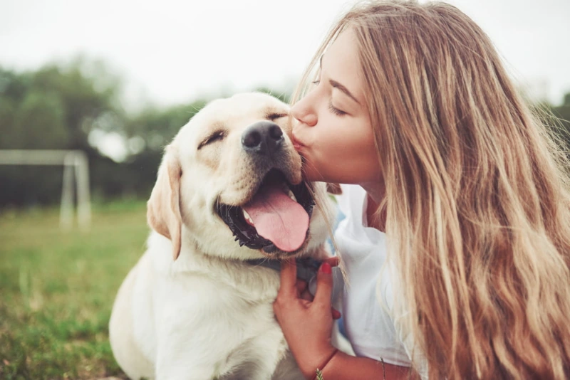 Heartfelt Dog Passing Quotes: Comfort And Sympathy For Loss 2 dog passing quotes