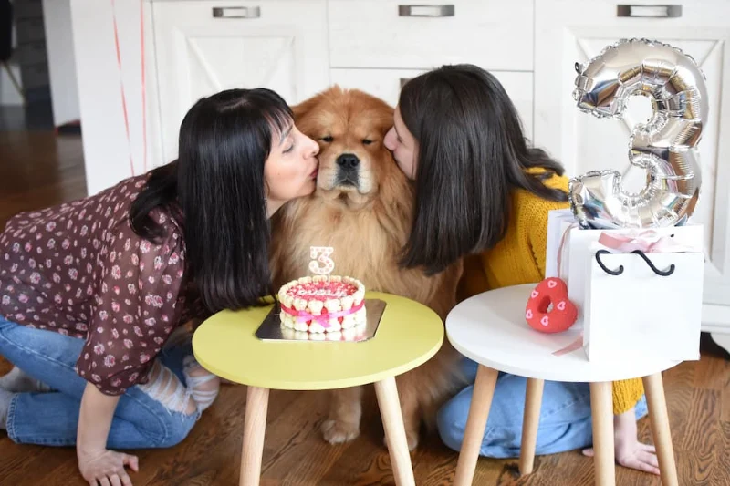 Dog Birthday Wishes: Celebrating Our Furry Friends 2 dog birthday wishes