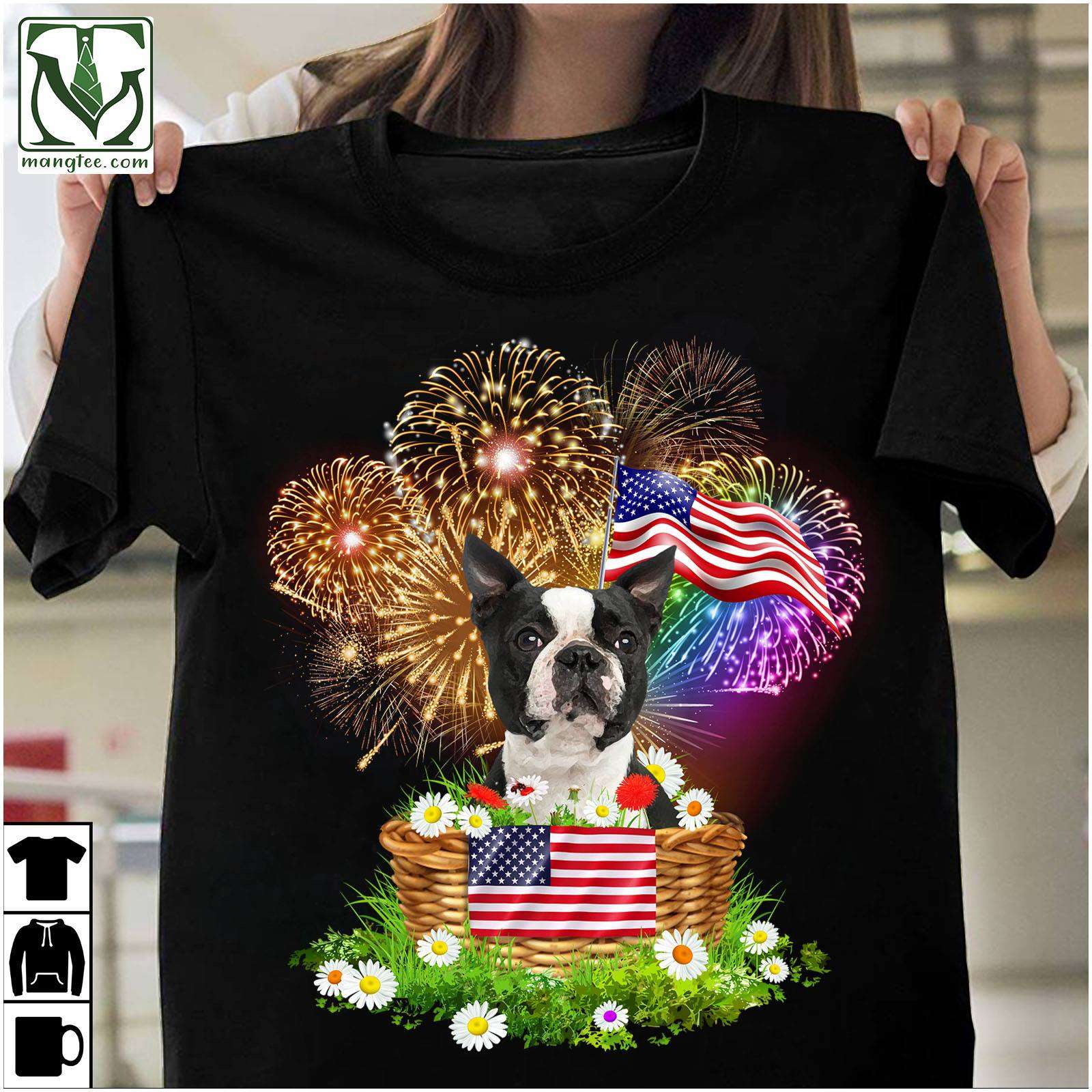 Boston Terrier - Firework American flag Boston Terrier - Firework American flag