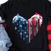 Dolphin and America flag – Dolphin lover