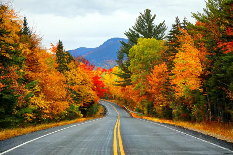 Embracing Autumn: Best Fall Quotes Short For Every Mood 6 fall quotes short