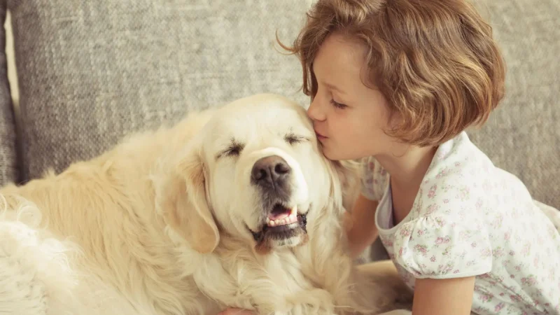 1 Year Death Anniversary Quotes For Dog 7 1 year death anniversary quotes for dog