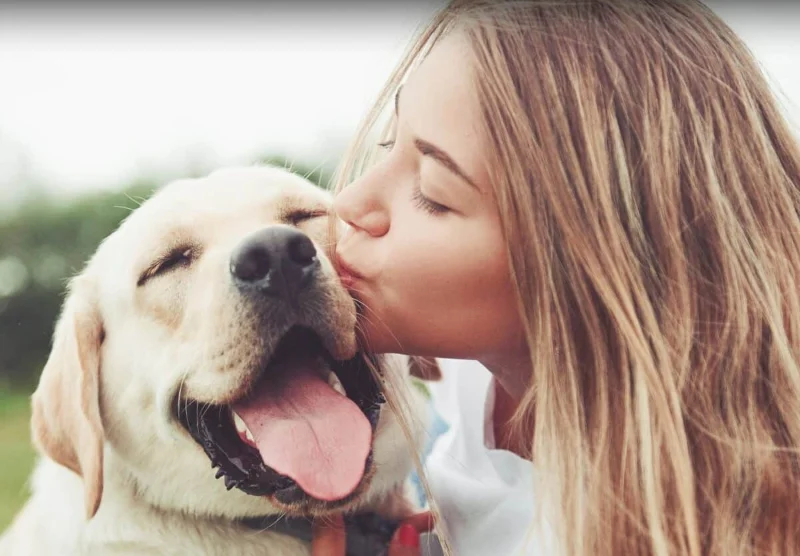 1 Year Death Anniversary Quotes For Dog 9 1 year death anniversary quotes for dog