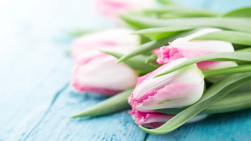 100+ Happy Heavenly Mothers Day Quotes 3 happy heavenly mothers day