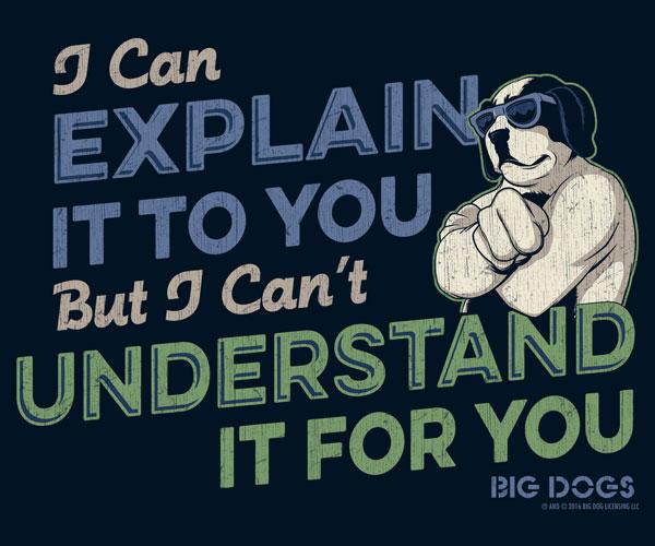 I Can Explain It To You T-Shirt I Can Explain It To You T-Shirt