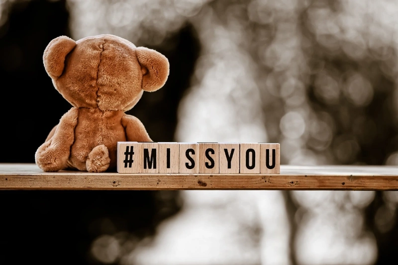 I Miss You Message For Her: Expressing Your Heartfelt Emotions 3 i miss you message for her