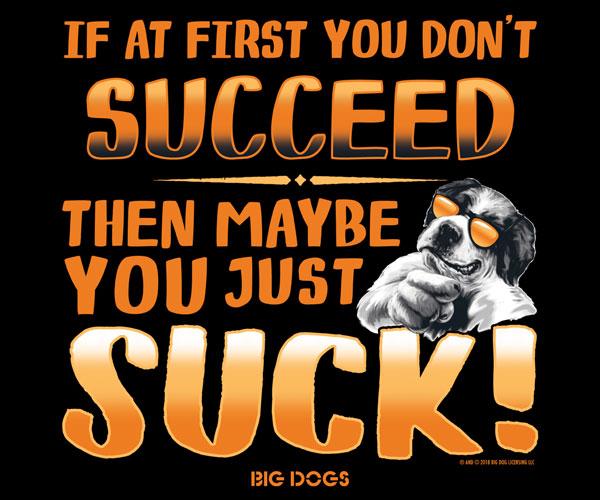 If At First You Do Not Succeed T-Shirt If At First You Do Not Succeed T-Shirt