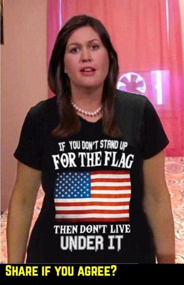 If you don’t stand up for the flag then don’t live under it – America flag, live in America