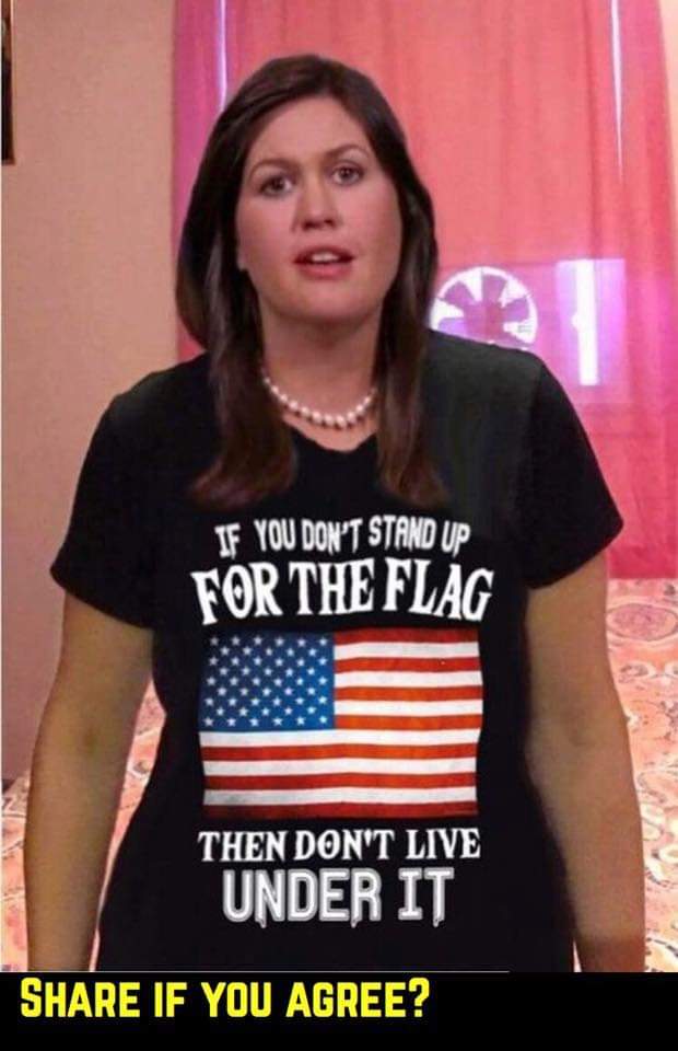 If you don't stand up for the flag then don't live under it - America flag, live in America If you don't stand up for the flag then don't live under it - America flag, live in America