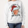 It’s beginning to look a lot like you miss me – Santa Donald Trump, Real America president