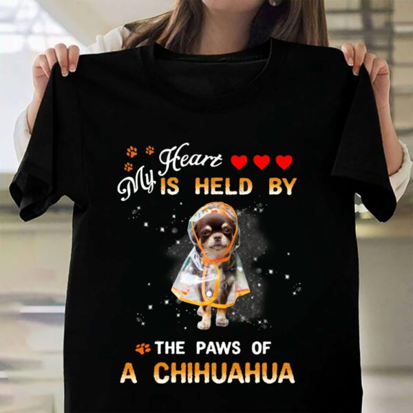 My heart is held by the paws of a Chihuahua – American loves Chihuahua