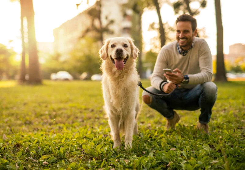Celebrating Our Furry Friends: International Dog Day Quotes 7 international dog day quotes