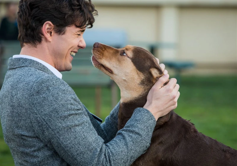 Celebrating Our Furry Friends: International Dog Day Quotes 10 international dog day quotes