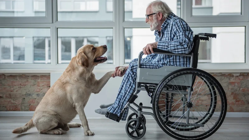 Celebrating Our Furry Friends: International Dog Day Quotes 5 international dog day quotes