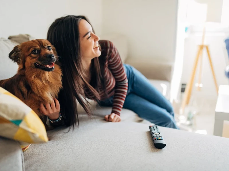 Celebrating Our Furry Friends: International Dog Day Quotes 11 international dog day quotes