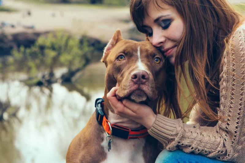 Celebrating Our Furry Friends: International Dog Day Quotes 6 international dog day quotes