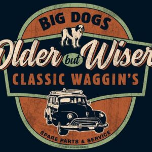 Older But Wiser T-Shirt