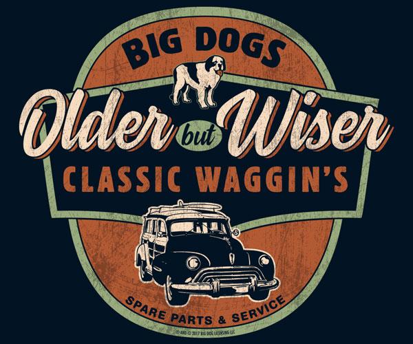 Older But Wiser T-Shirt Older But Wiser T-Shirt