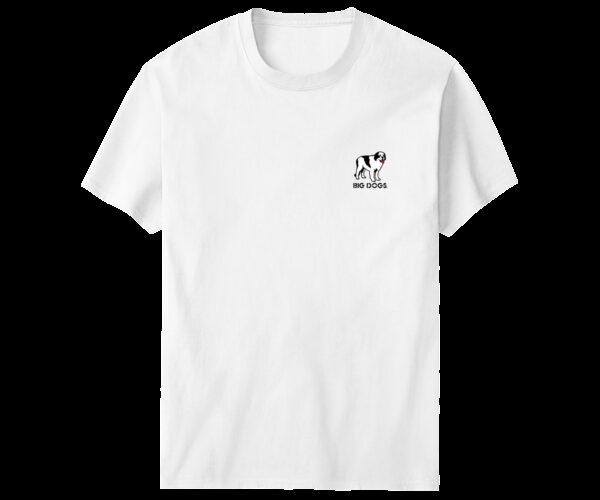 Only Drink Beer On Days That End In Y T-Shirt