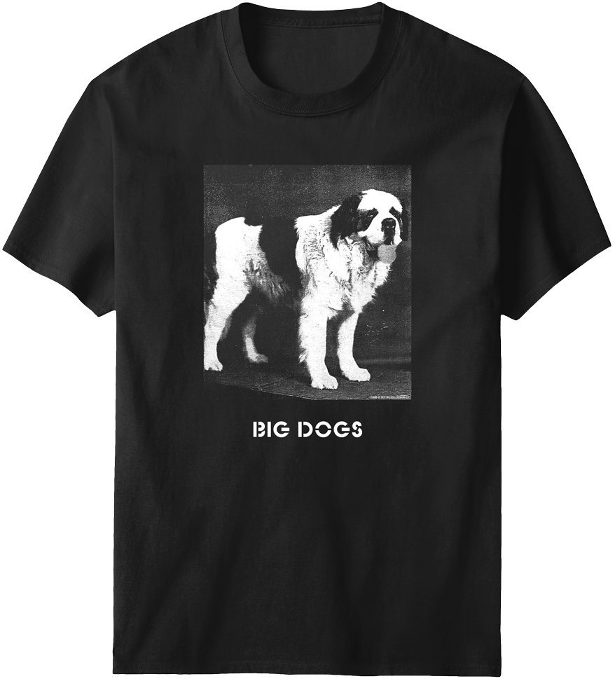Photo Logo T-Shirt Photo Logo T-Shirt