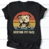 Pit Bull-  Resting pit face