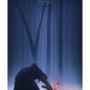 Poster Star Wars Episode VII Awakening