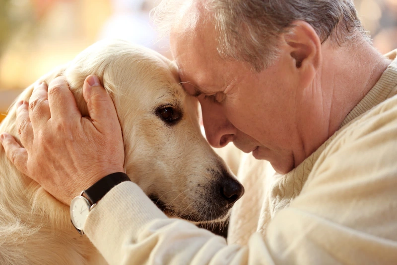Heartfelt Dog Passing Quotes: Comfort And Sympathy For Loss 6 dog passing quotes