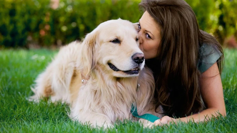 Heartfelt Dog Passing Quotes: Comfort And Sympathy For Loss 8 dog passing quotes