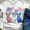 Sphynx cat – cat lover, America flag