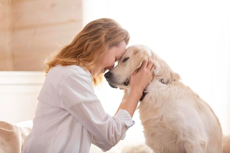 Heartfelt Dog Passing Quotes: Comfort And Sympathy For Loss 10 dog passing quotes