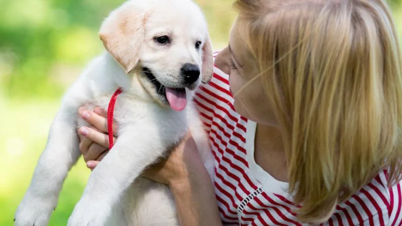 1 Year Death Anniversary Quotes For Dog 6 1 year death anniversary quotes for dog