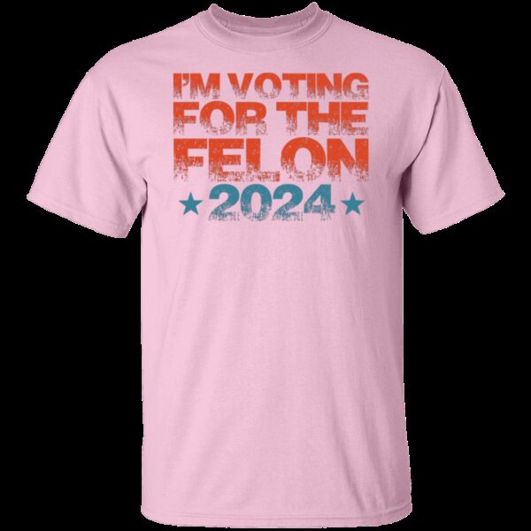 Voting Felon