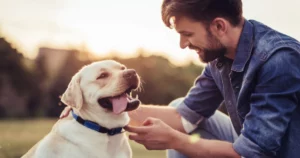 dog passing quotes