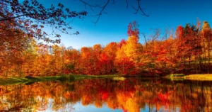 fall quotes short