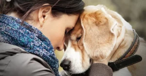 1 year death anniversary quotes for dog