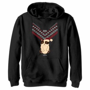 Boy’s Marvel Hawkeye Christmas Cateye Pull Over Hoodie