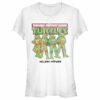 Junior’s Teenage Mutant Ninja Turtles Distressed Holiday Heroes T-Shirt