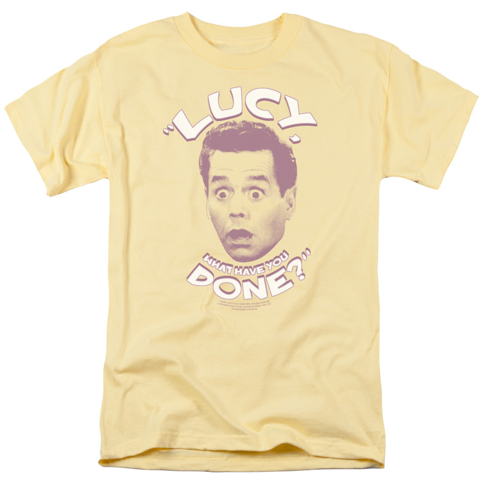 I Love Lucy - What Have You Done I Love Lucy - What Have You Done