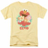 Sesame Street – Flowers for You