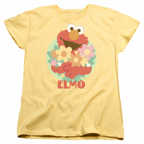 Sesame Street – Flowers for You