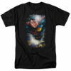 Superman – In the Sky