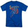 Superman – Life Like Action