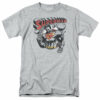 Superman – Super KO