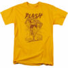 The Flash – Busting Out